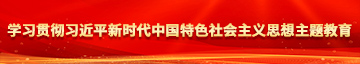 操B自慰白虎内射学习贯彻习近平新时代中国特色社会主义思想主题教育